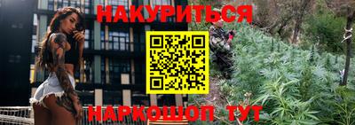 стаф Камышлов