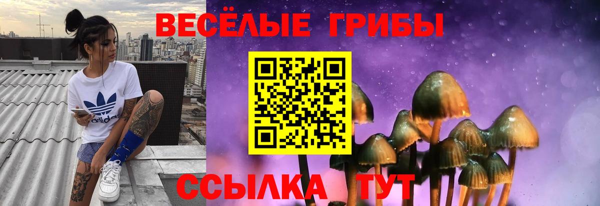 Киселёвск  Галлюциногенные грибы GOLDEN TEACHER  Вход с VPN 