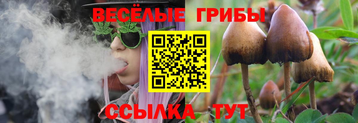 Галлюциногенные грибы мухоморы Киселёвск